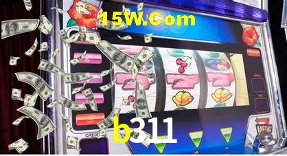 b311
